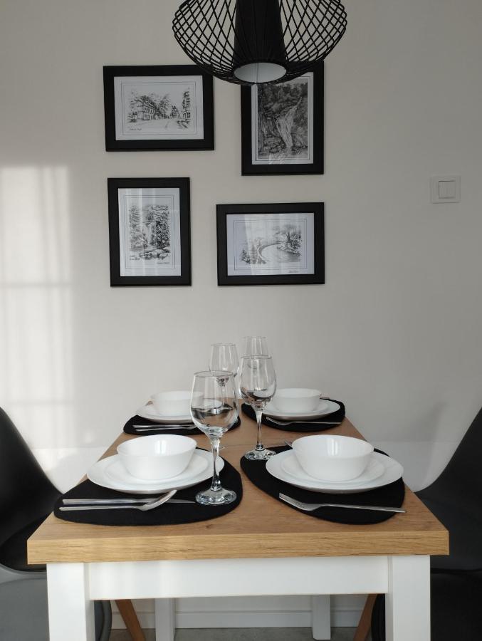 שצ'קלארסקה פוראובה Apartament Pod Swierkami מראה חיצוני תמונה